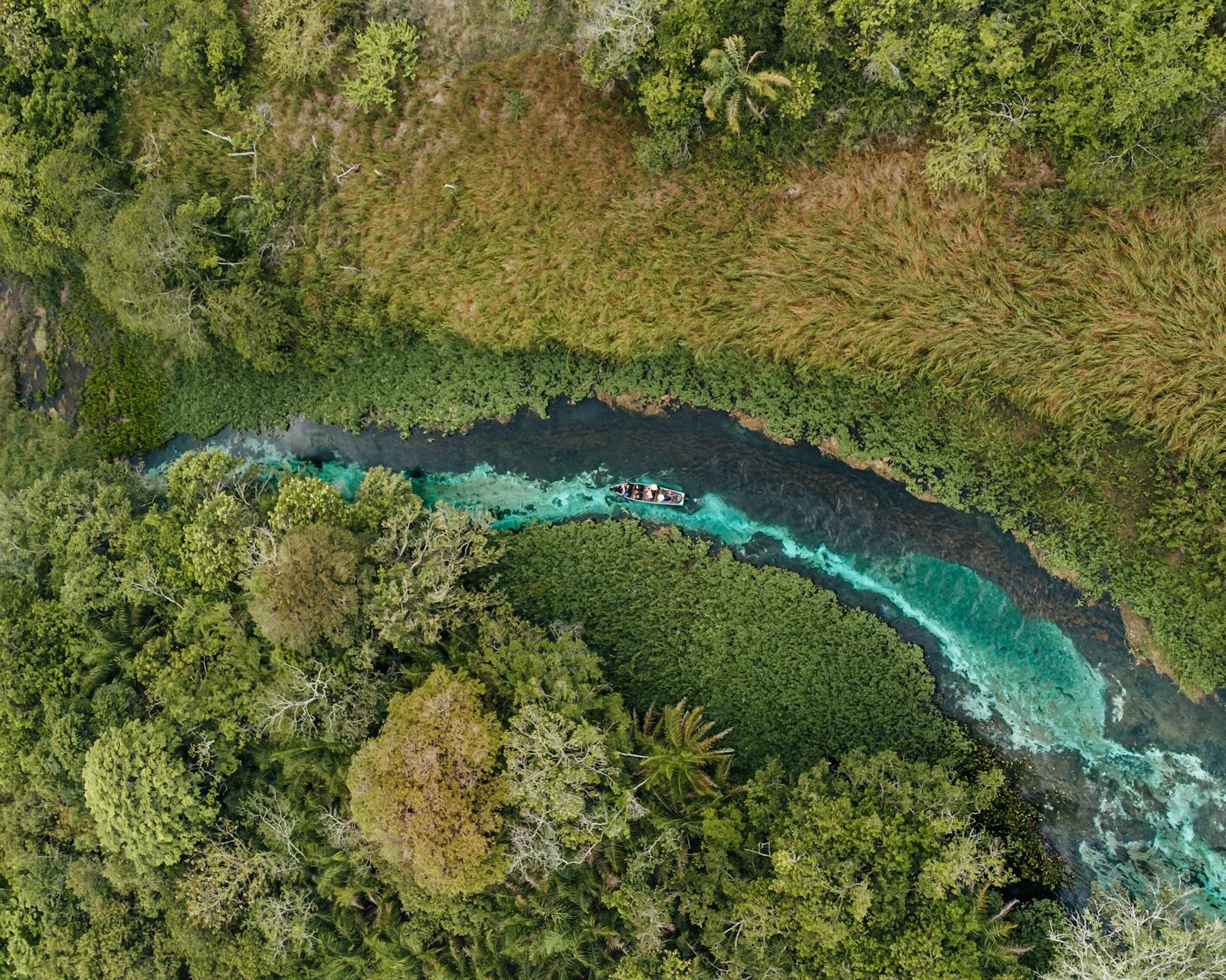 Der Amazonas ist der größte Fluss der Erde, aber nicht der längste