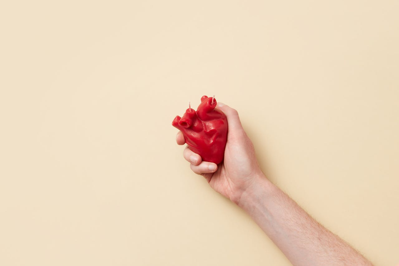 Das Herz erzeugt genug Druck für 10 Meter Entfernung