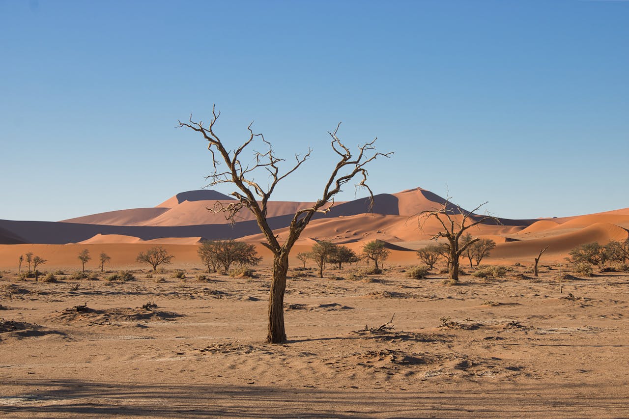 Es gibt Orte, an denen es seit Jahrzehnten nicht geregnet hat
